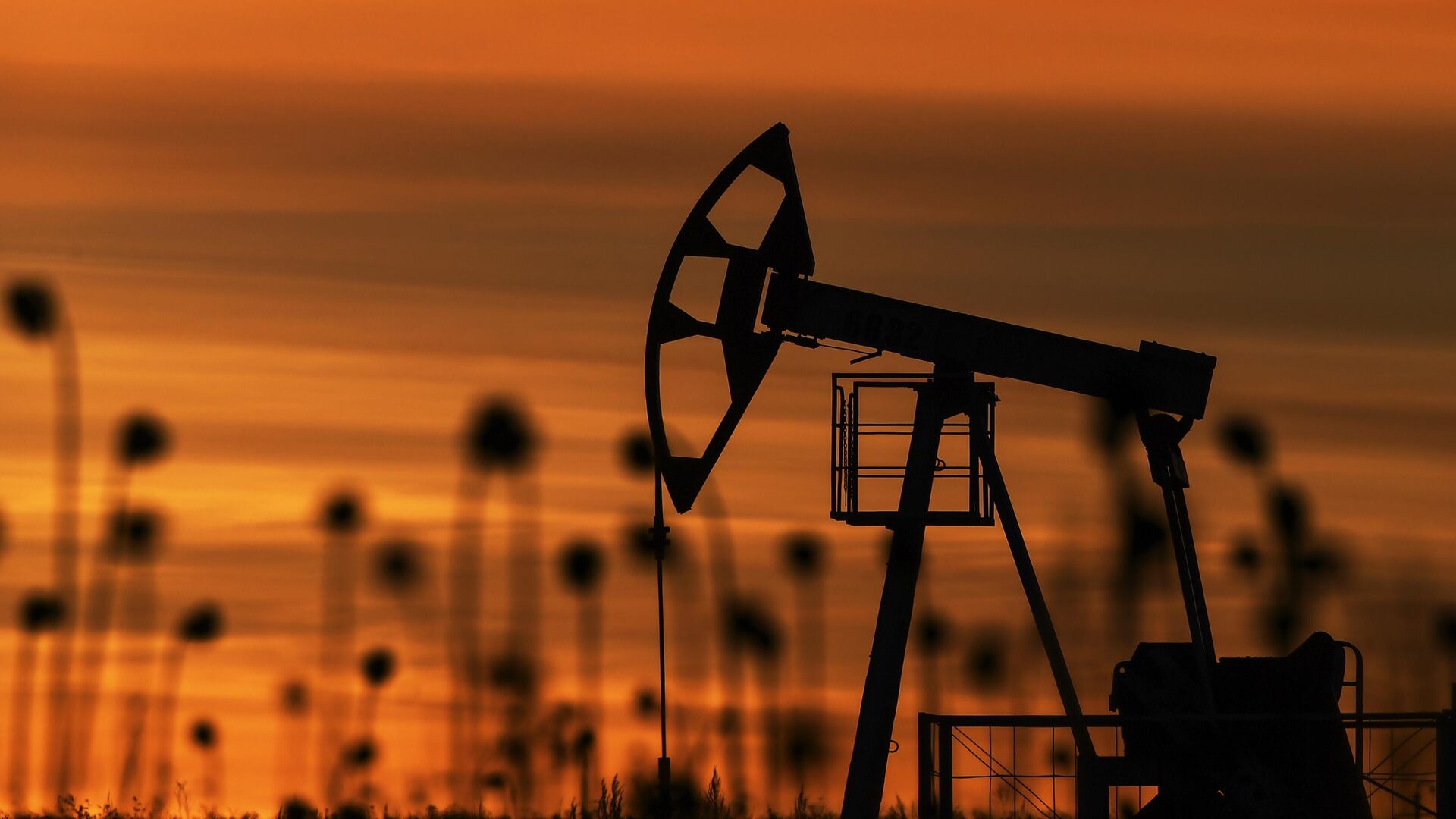 Индия сокращает импорт нефти из России: кто занял освободившиеся ниши
